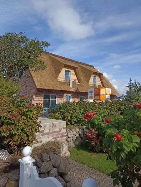 480420801-963644982531824-3517596917156644953-n