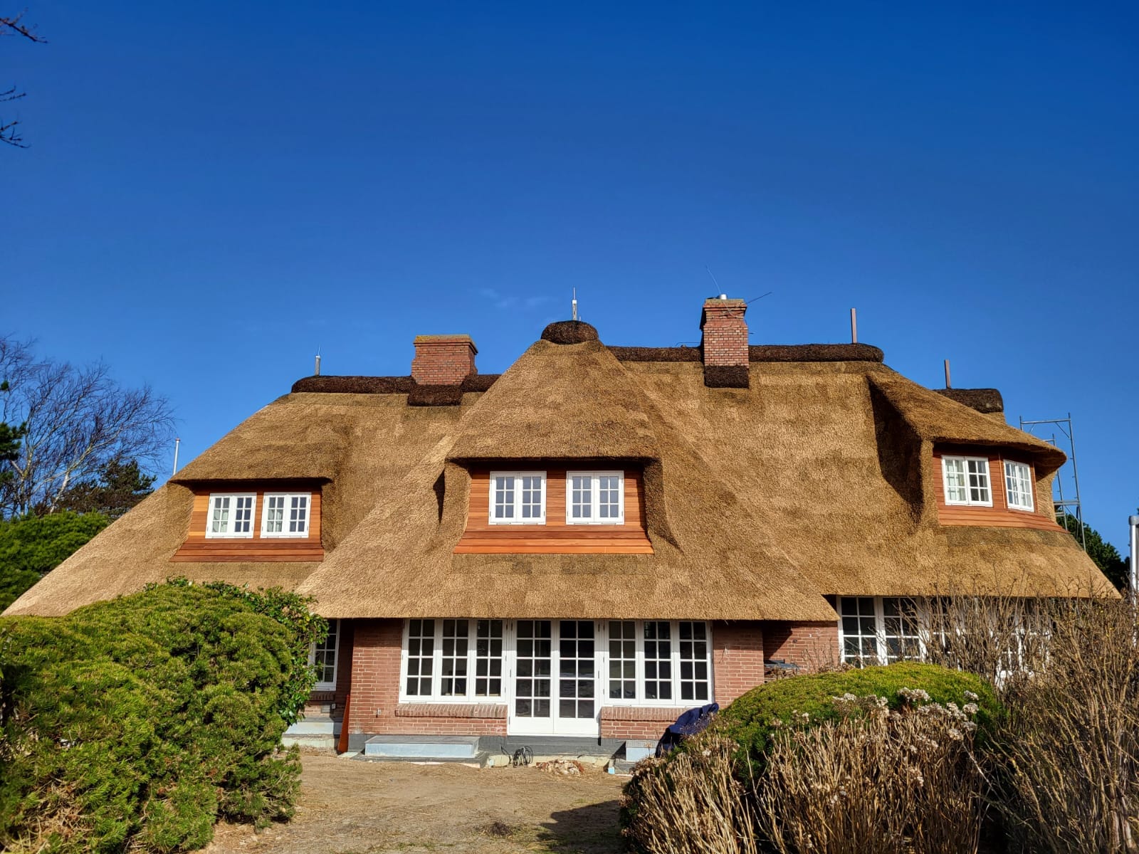 481174312-972044488358540-4563863994508620043-n